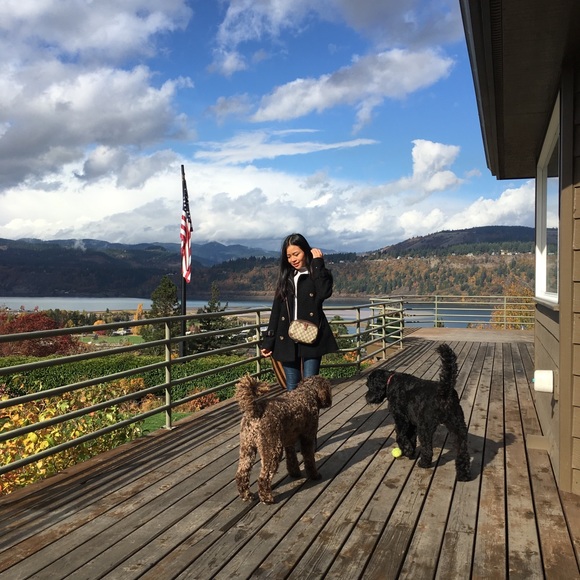 Meet your Posher, Darika - Picture 5 of 5